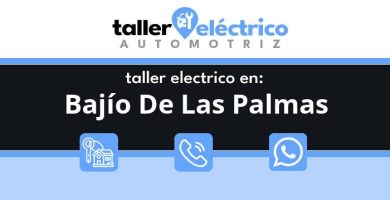 Bajío De Las Palmas