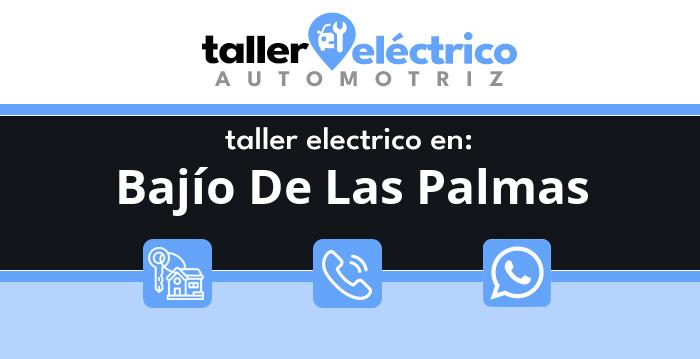 Bajío De Las Palmas