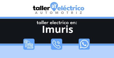 Imuris