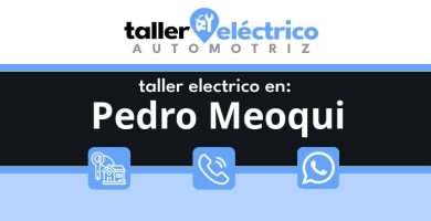 Pedro Meoqui