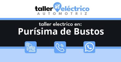 Purísima de Bustos