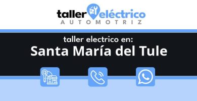 Santa María del Tule