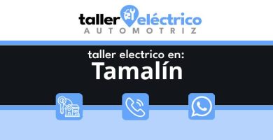 Tamalín