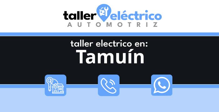 Tamuín